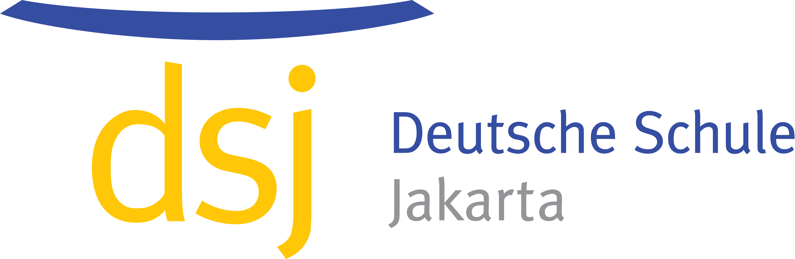 logo dsj
